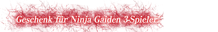 Geschenk für Ninja Gaiden 3-Spieler!