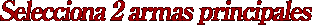 Select 2 Primary Weapons