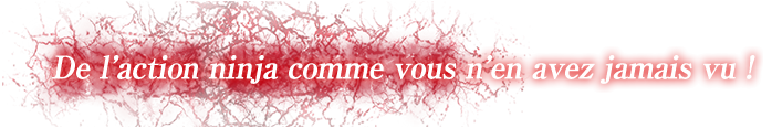De l'action ninja comme vous n'en avez jamais vu !