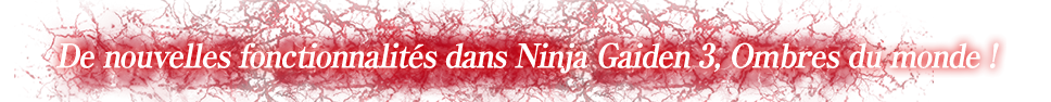 New features for Ninja Gaiden 3's Shadows of the World!