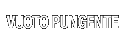 PIERCING VOID