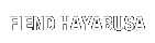 FIEND HAYABUSA