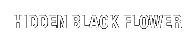 HIDDEN BLACK FLOWER